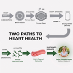 Nattokinase Arterial Support
